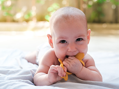 aplicacoes-brinquedos-mordedores